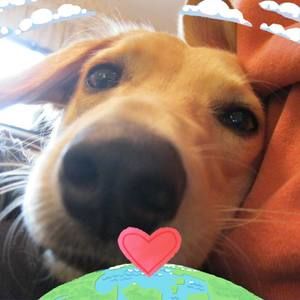 Meet your Posher, Kolleen